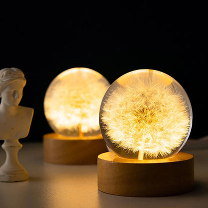 Luminous 3D Dandelion Crystal Ball Night Light